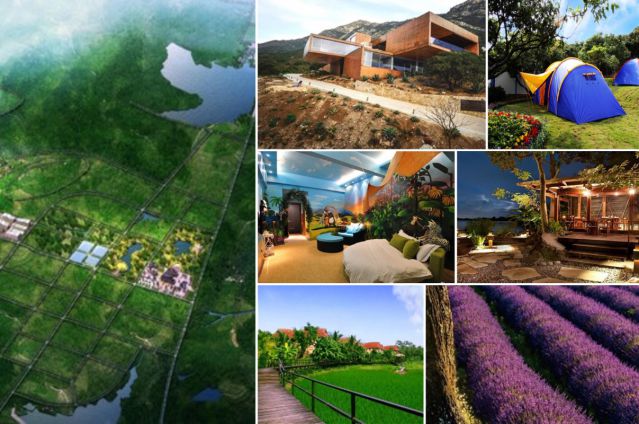 以民宿为钥，解锁乡村振兴新路径